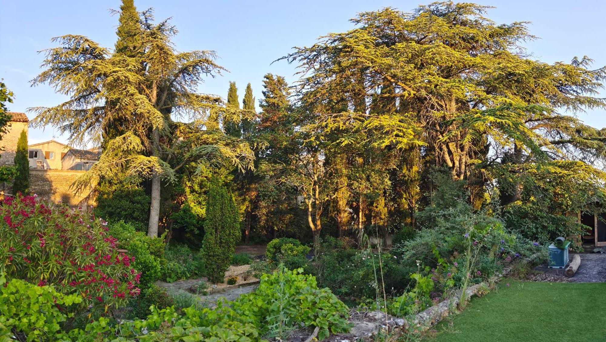 مبيت وإفطار Rue Du Chateau A Cabrieres D'Avignon المظهر الخارجي الصورة
